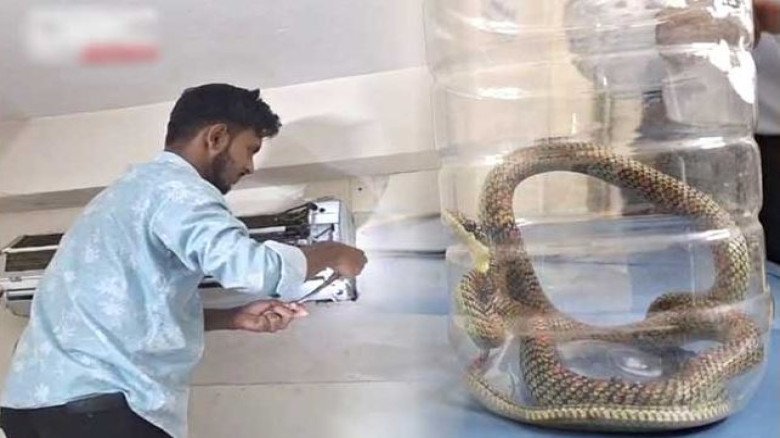 ক্লিনিকের এসি খুলতেই দেখা মিলল চার ফুটের কালনাগিনী সাপ